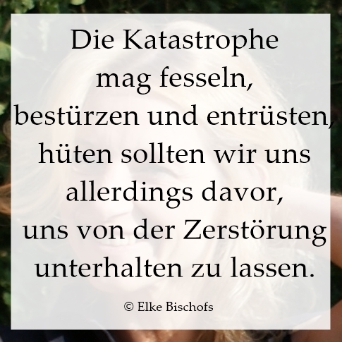 Manch Ungl&uuml;ck wird erst durch die Presse zu einer wirklichen Katastrophe.
